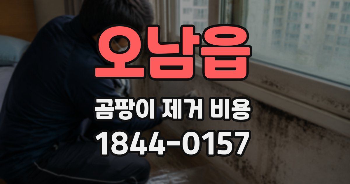 오남읍 곰팡이 제거 비용