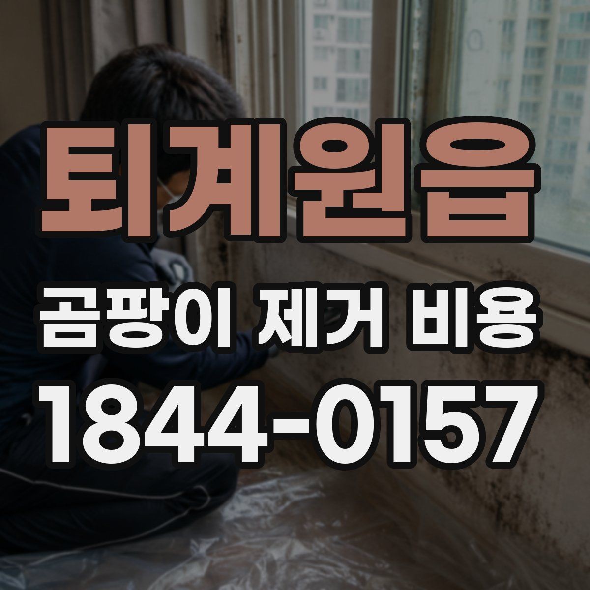 퇴계원읍 곰팡이 제거 비용 오래된 집에서 더 신경 써야 할 점