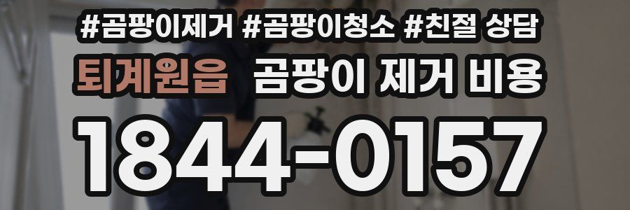 퇴계원읍 곰팡이 제거 비용