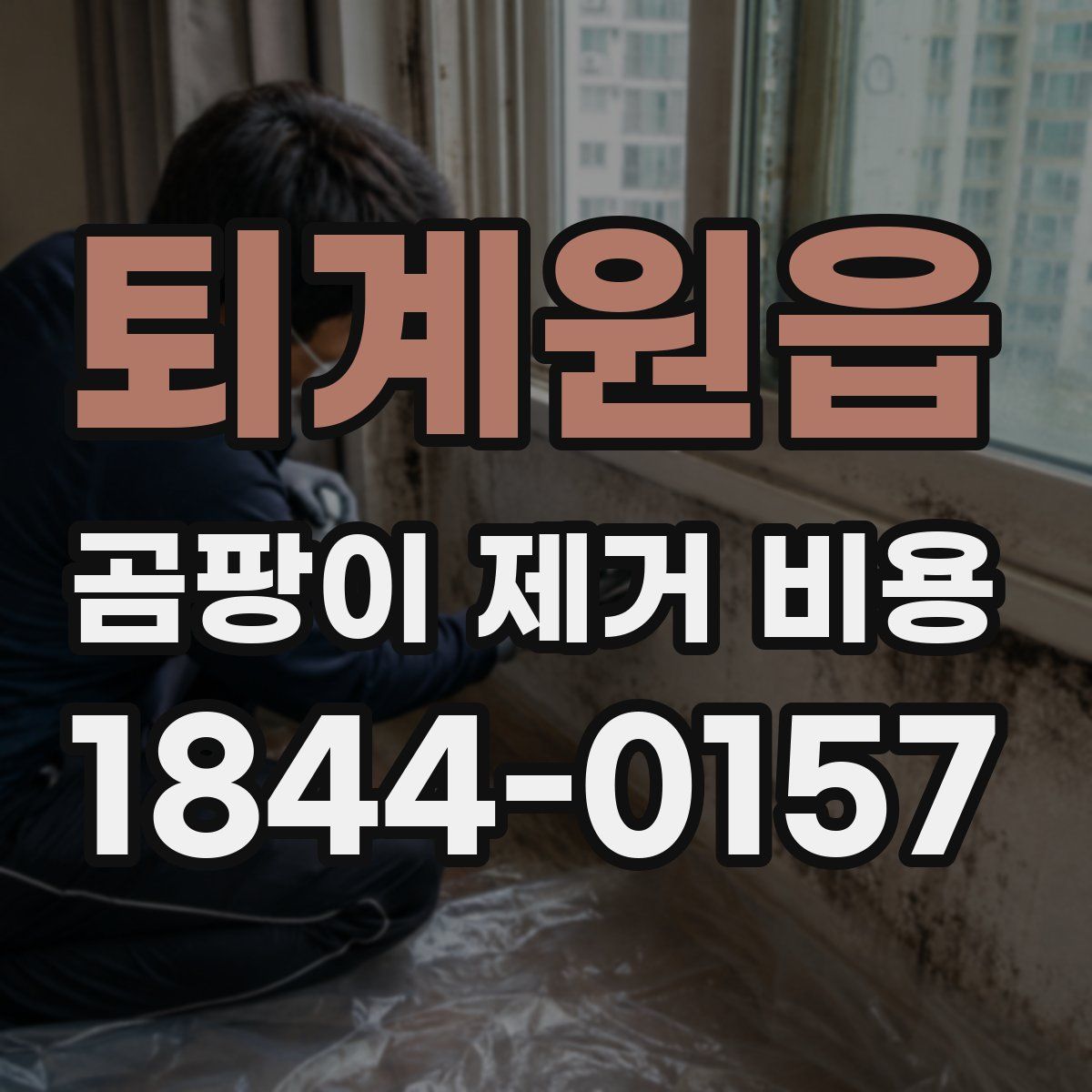 퇴계원읍 곰팡이 제거 비용
