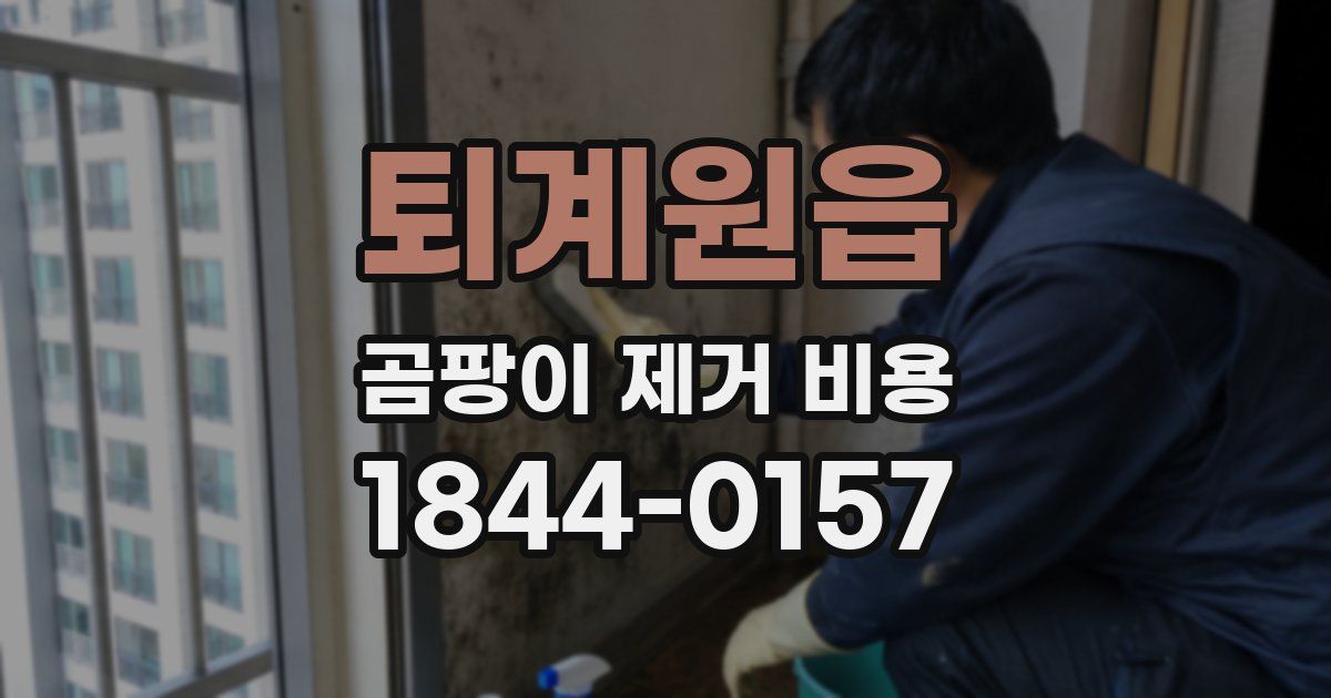 퇴계원읍 곰팡이 제거 비용