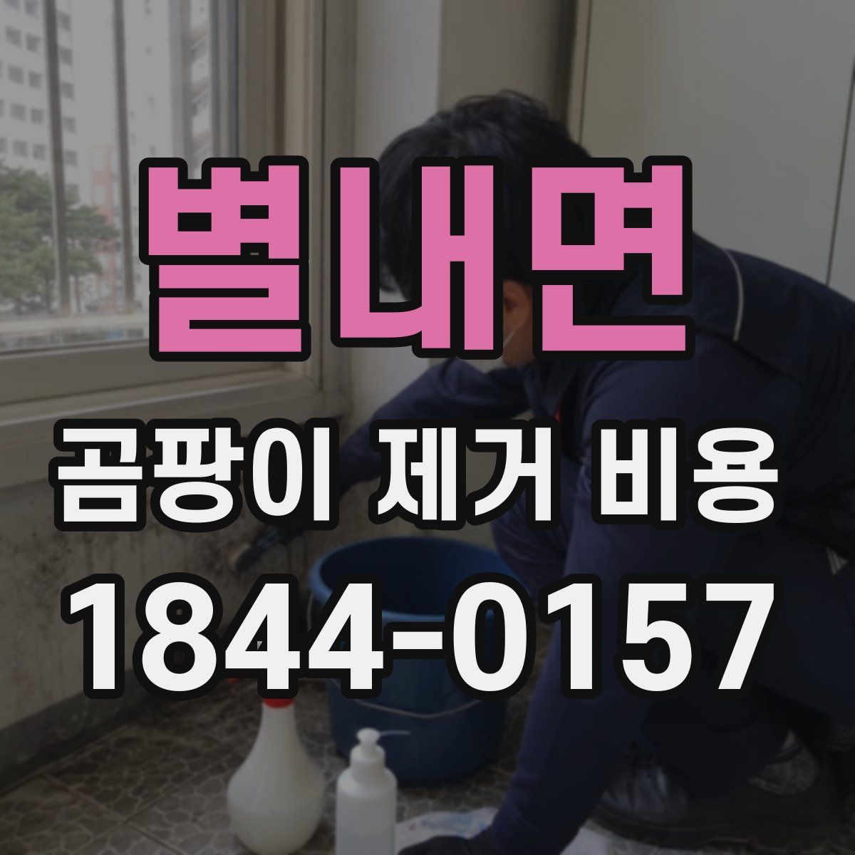 별내면 곰팡이 제거 비용