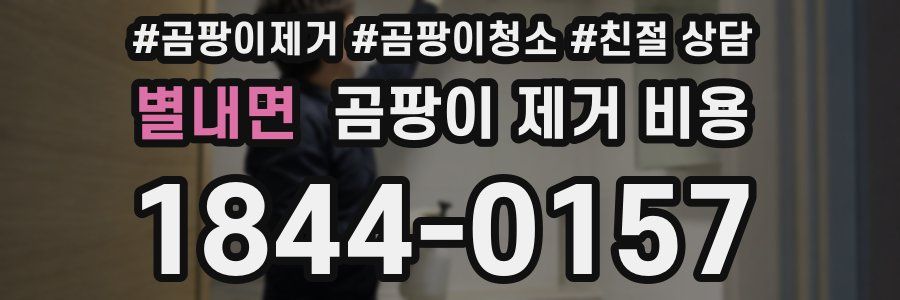 별내면 곰팡이 제거 비용