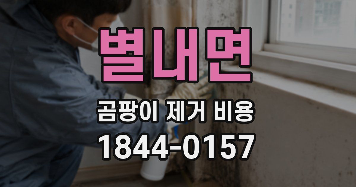 별내면 곰팡이 제거 비용