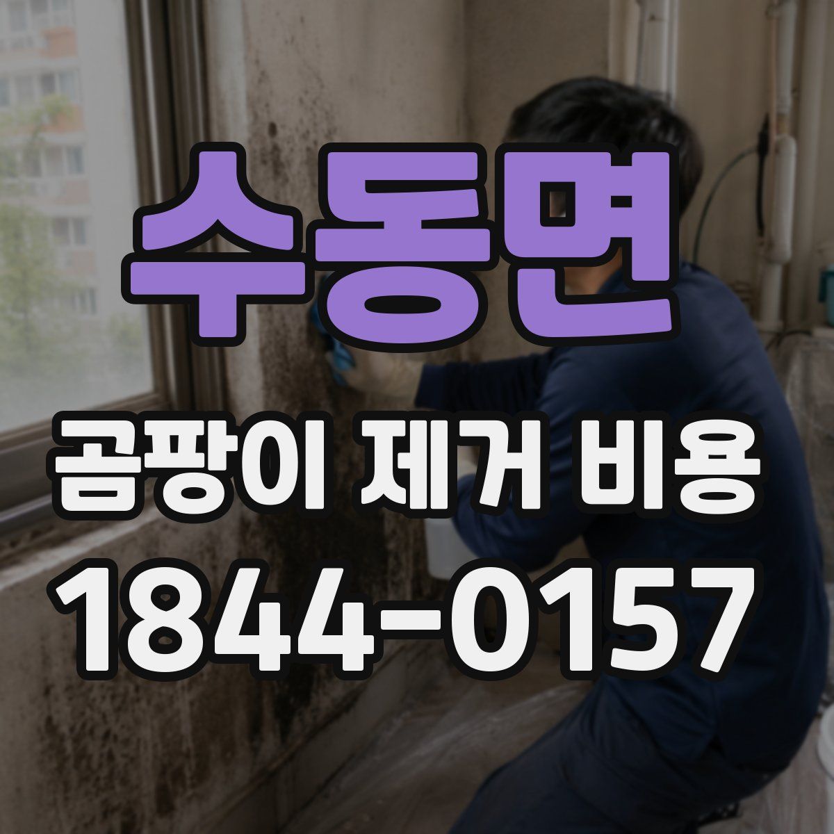 수동면 곰팡이 제거 비용