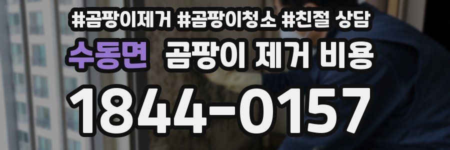 수동면 곰팡이 제거 비용
