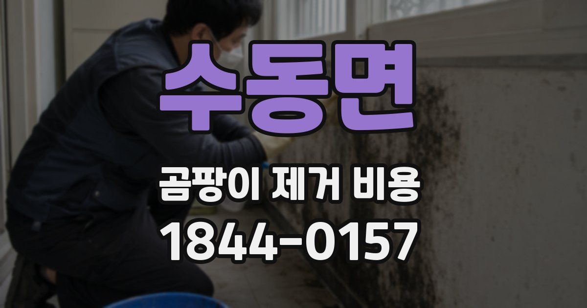 수동면 곰팡이 제거 비용