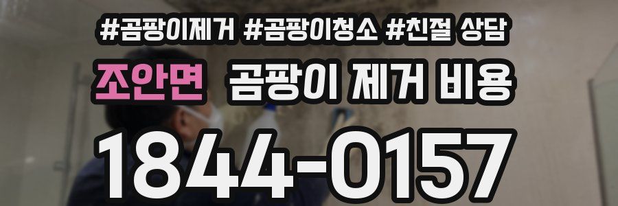 조안면 곰팡이 제거 비용