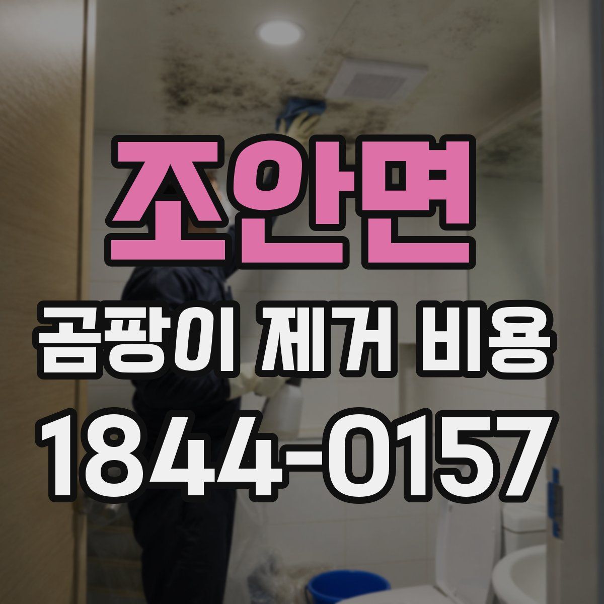 조안면 곰팡이 제거 비용