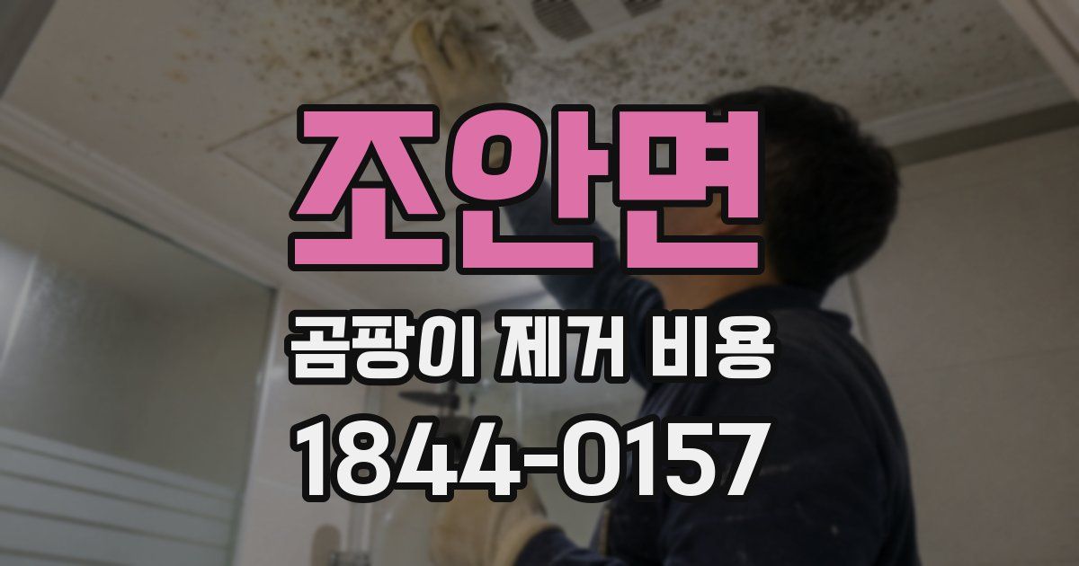 조안면 곰팡이 제거 비용