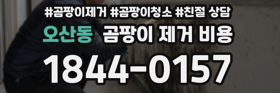 오산동 곰팡이 제거 비용