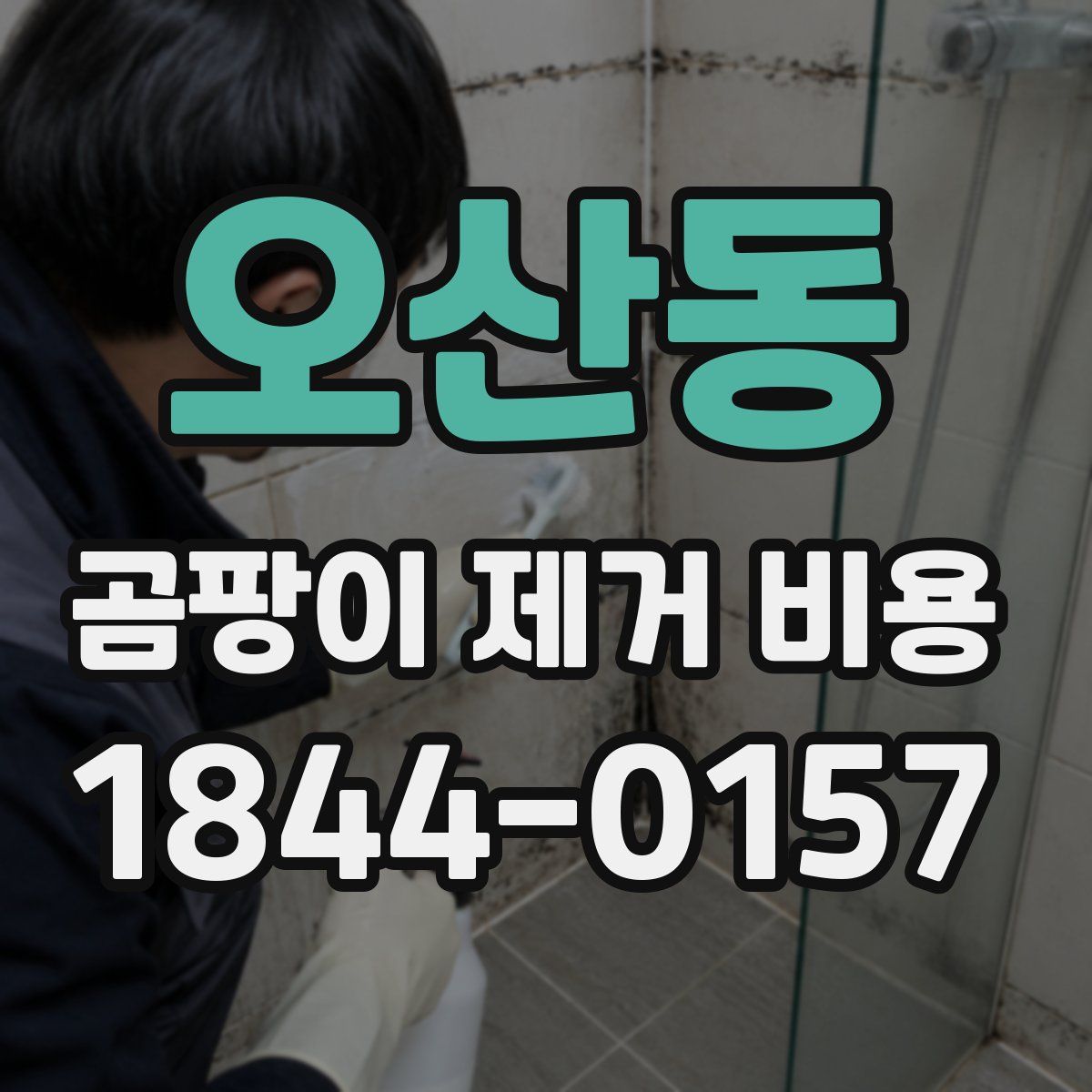 오산동 곰팡이 제거 비용