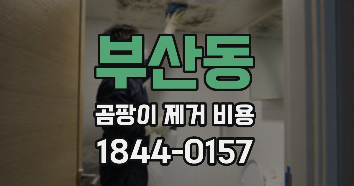 부산동 곰팡이 제거 비용