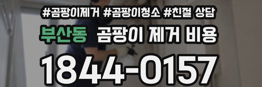 부산동 곰팡이 제거 비용