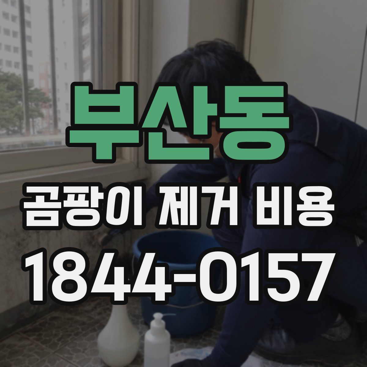 부산동 곰팡이 제거 비용