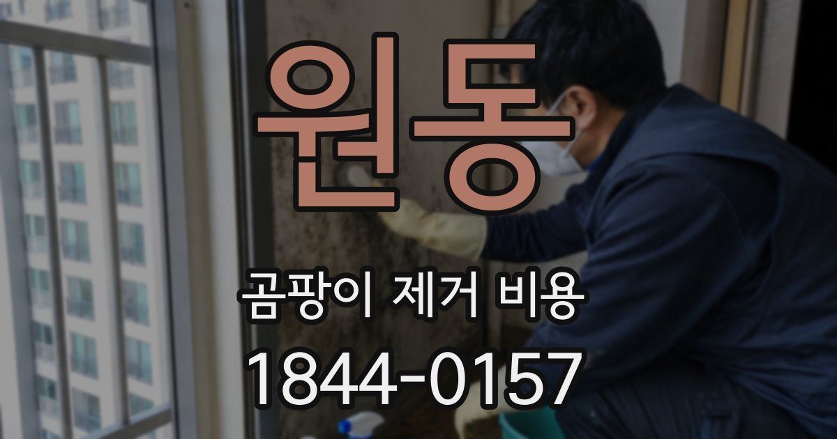원동 곰팡이 제거 비용