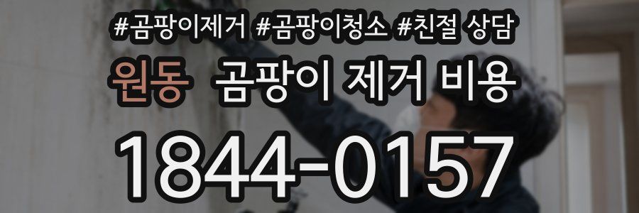 원동 곰팡이 제거 비용
