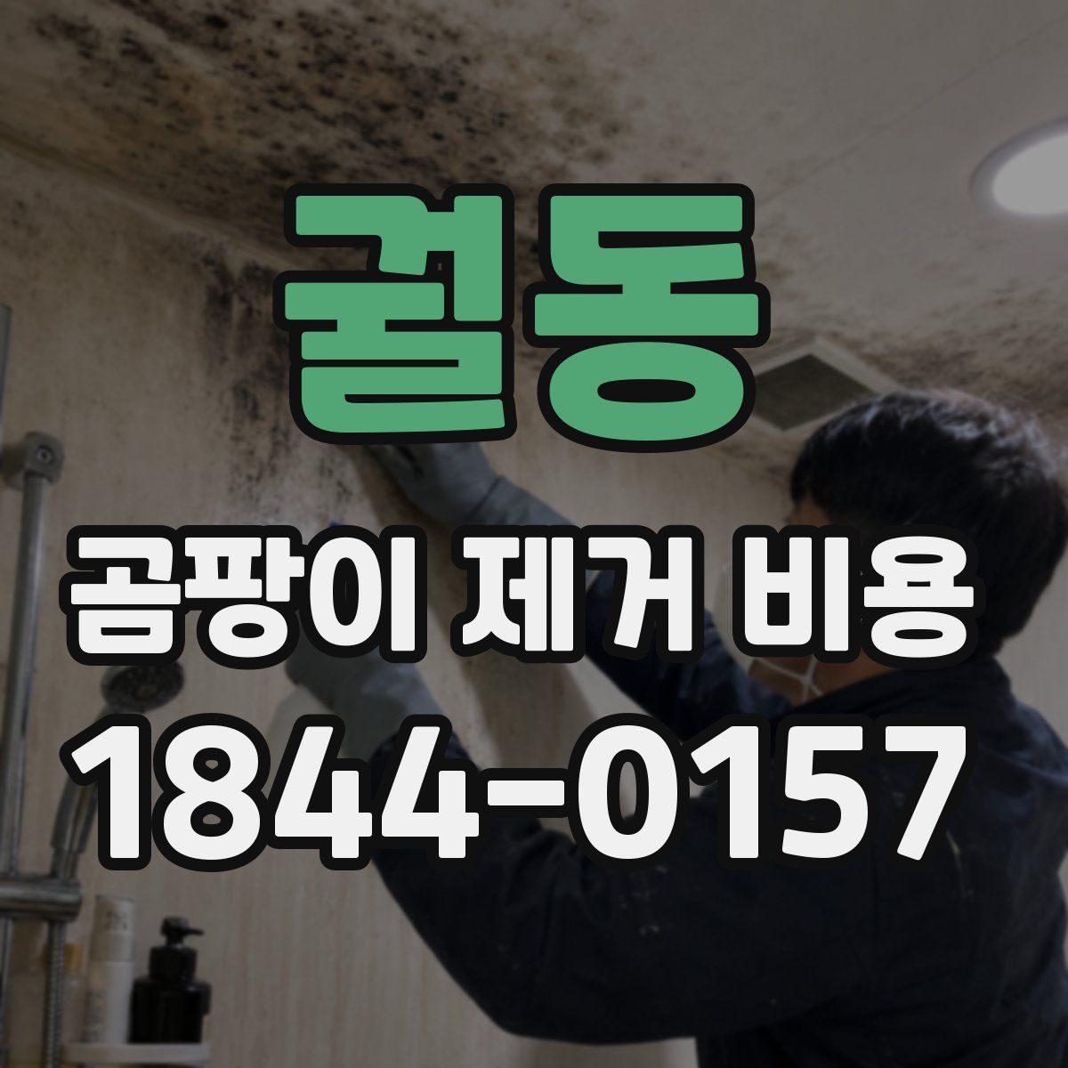 궐동 곰팡이 제거 비용