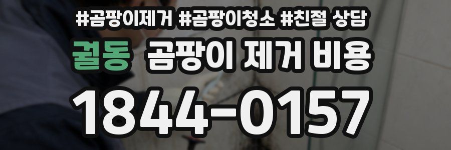 궐동 곰팡이 제거 비용
