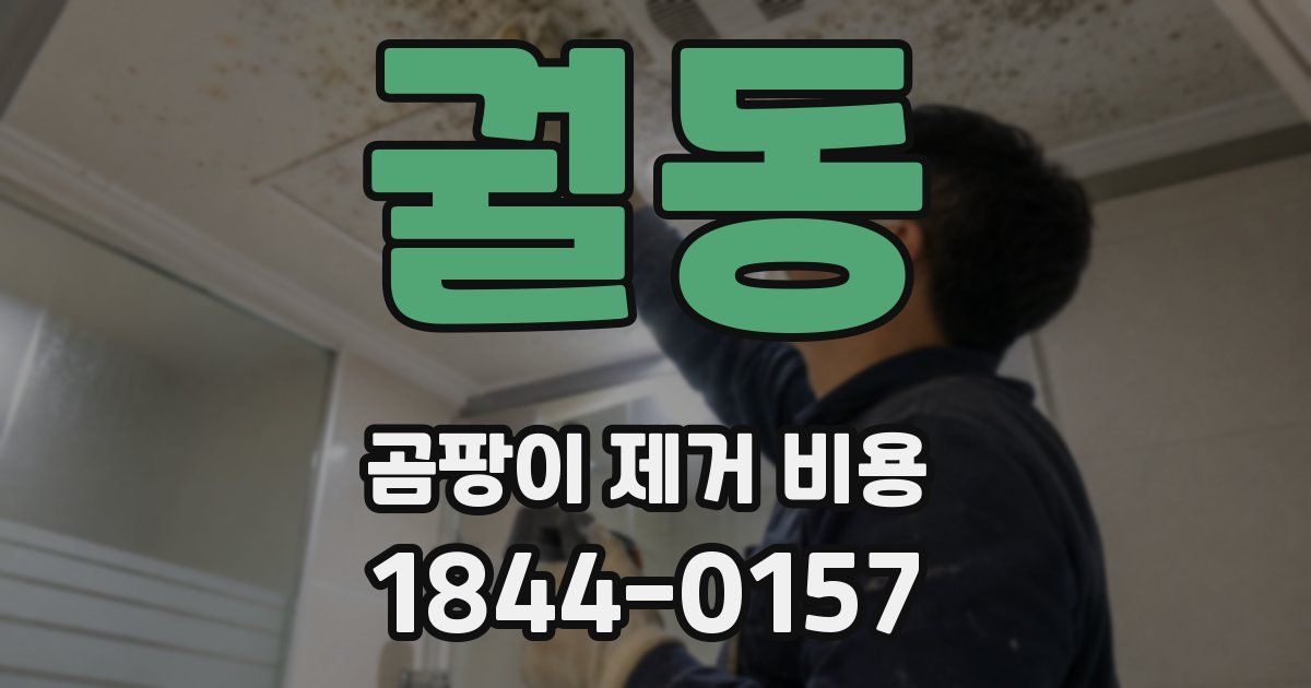 궐동 곰팡이 제거 비용