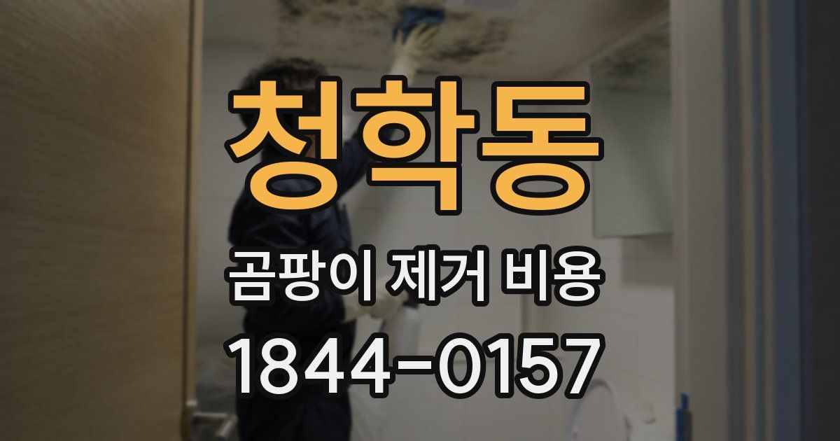 청학동 곰팡이 제거 비용