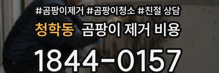 청학동 곰팡이 제거 비용
