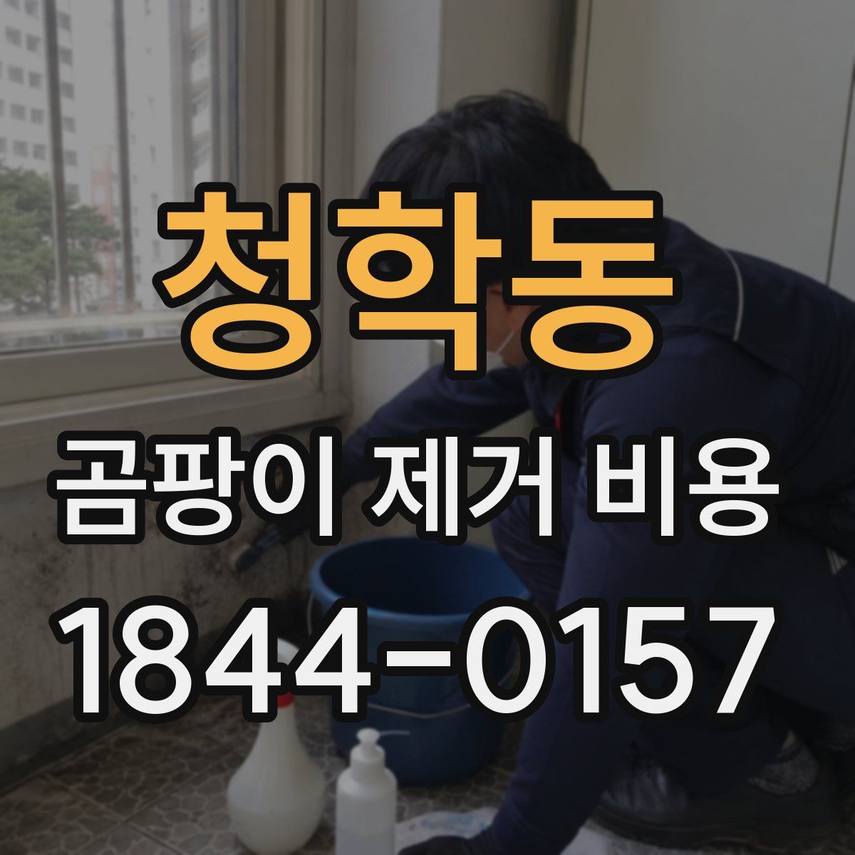 청학동 곰팡이 제거 비용