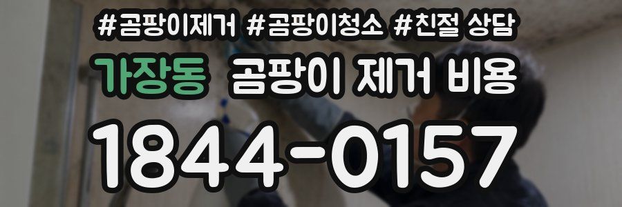 가장동 곰팡이 제거 비용