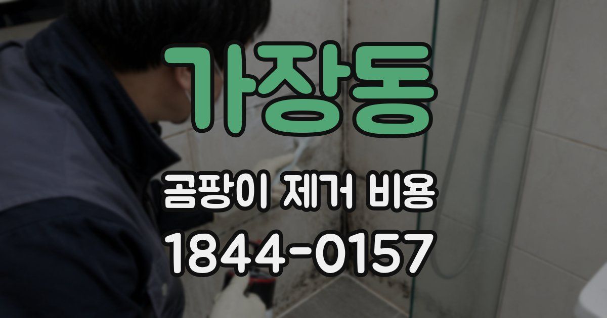 가장동 곰팡이 제거 비용