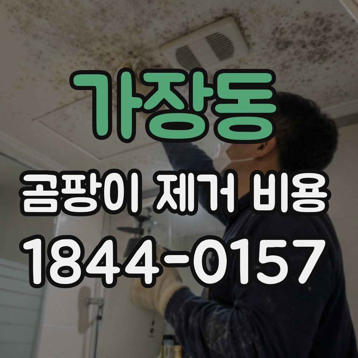 가장동 곰팡이 제거 비용