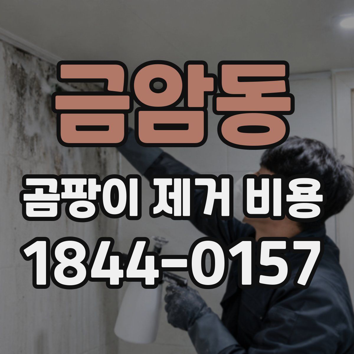 금암동 곰팡이 제거 비용