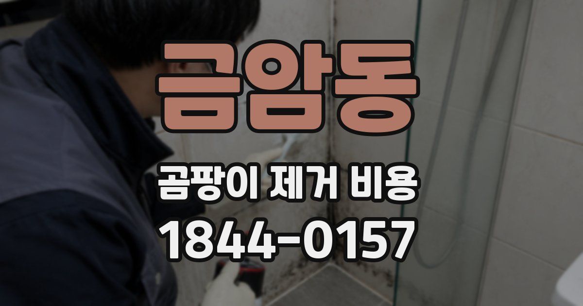 금암동 곰팡이 제거 비용