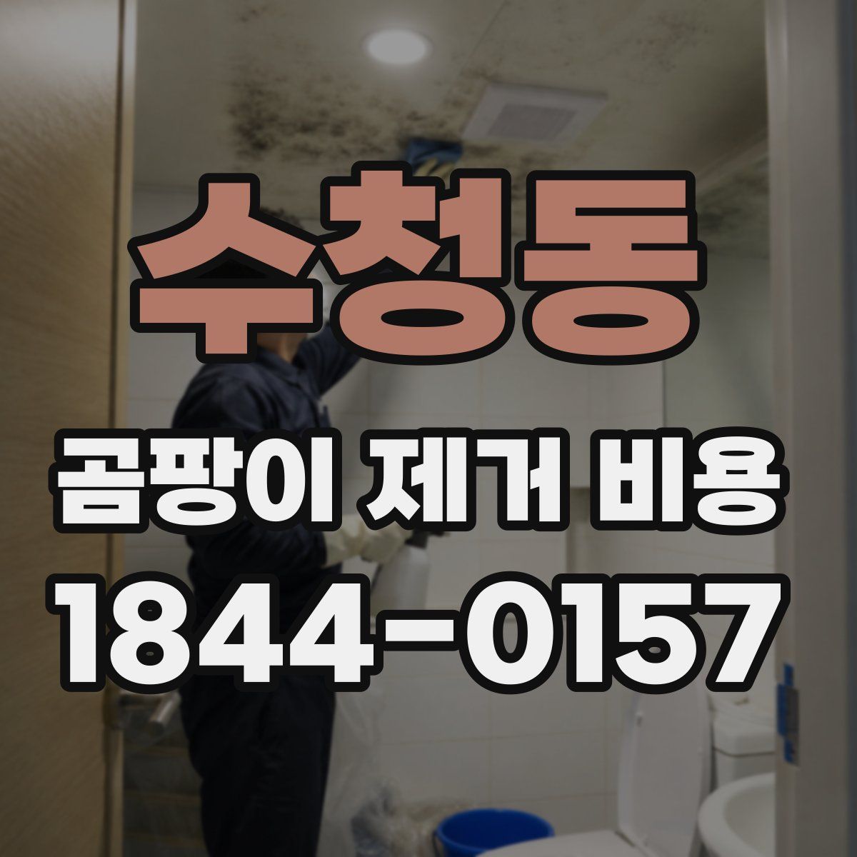 수청동 곰팡이 제거 비용