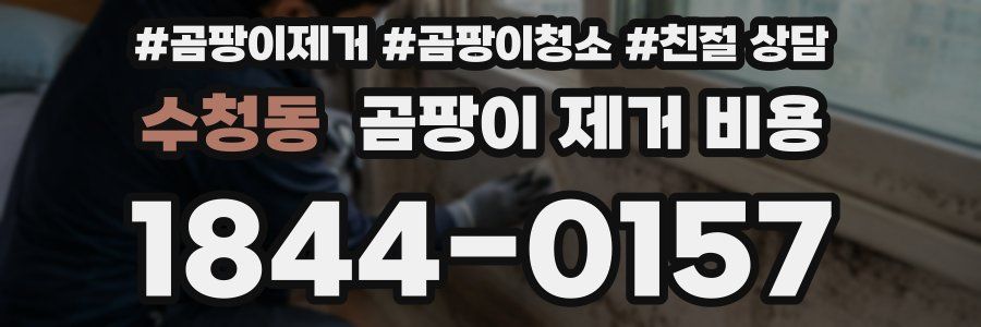 수청동 곰팡이 제거 비용