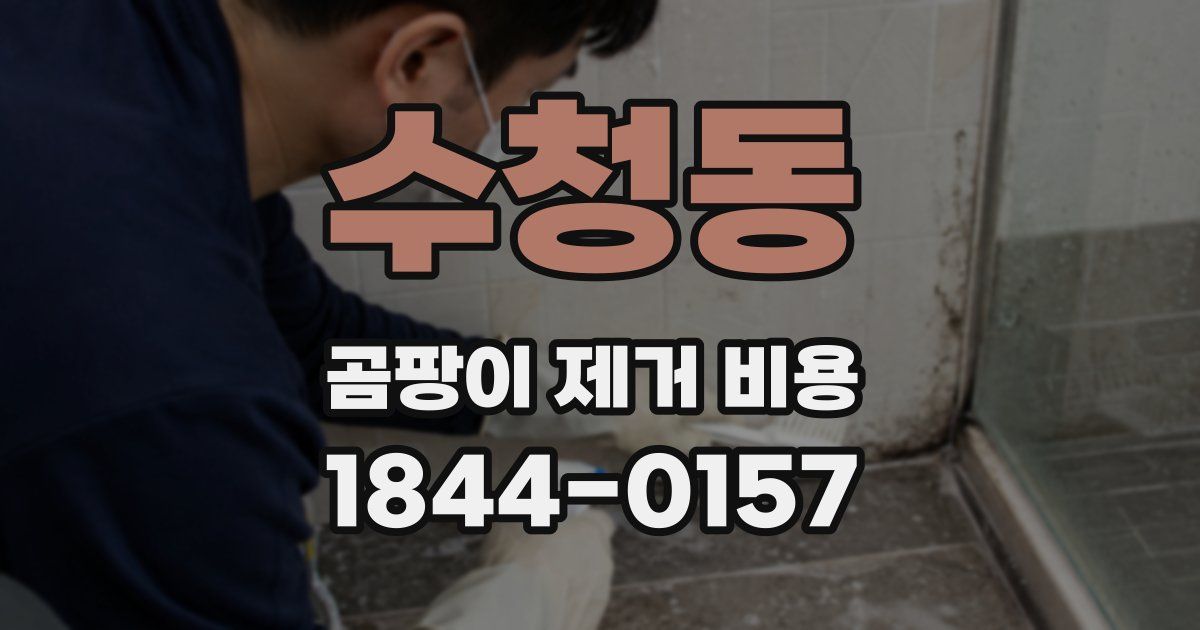 수청동 곰팡이 제거 비용