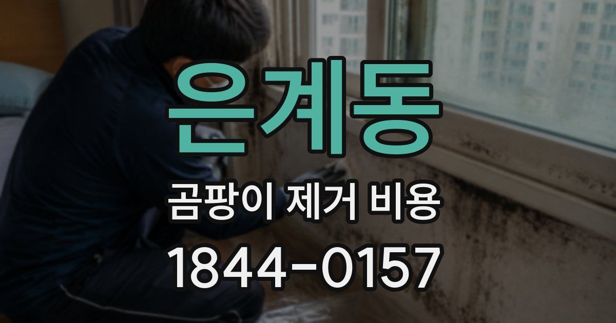 은계동 곰팡이 제거 비용