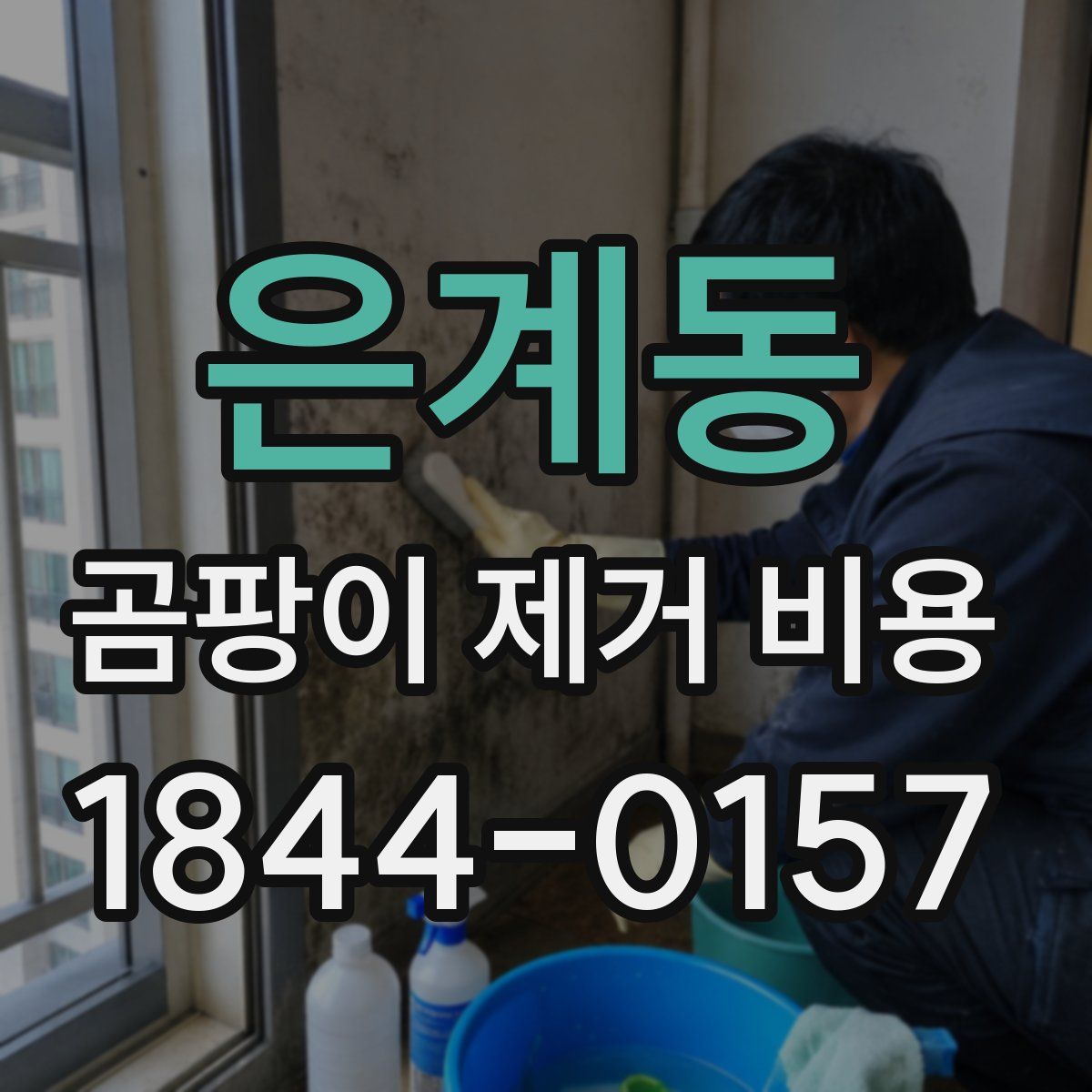 은계동 곰팡이 제거 비용