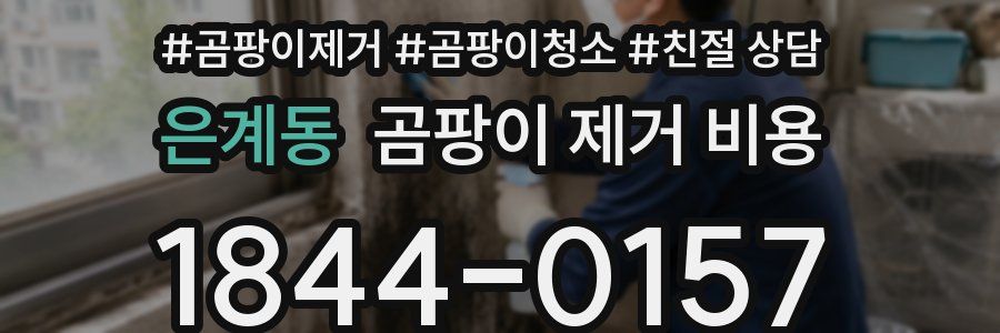 은계동 곰팡이 제거 비용