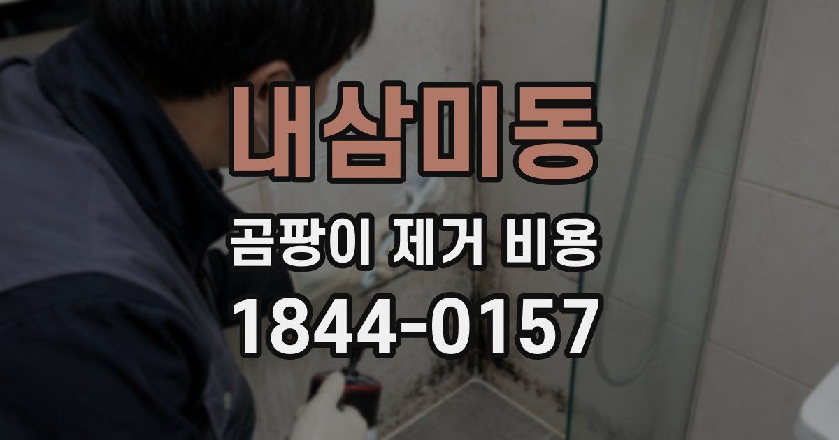 내삼미동 곰팡이 제거 비용