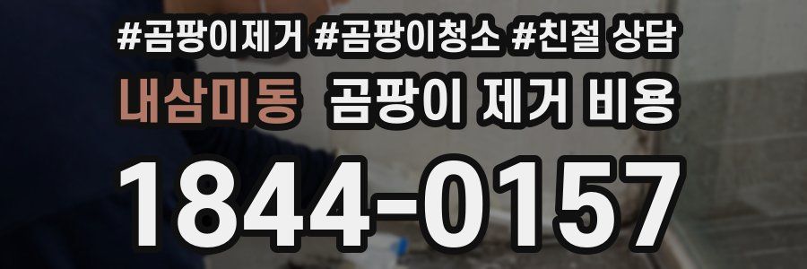 내삼미동 곰팡이 제거 비용