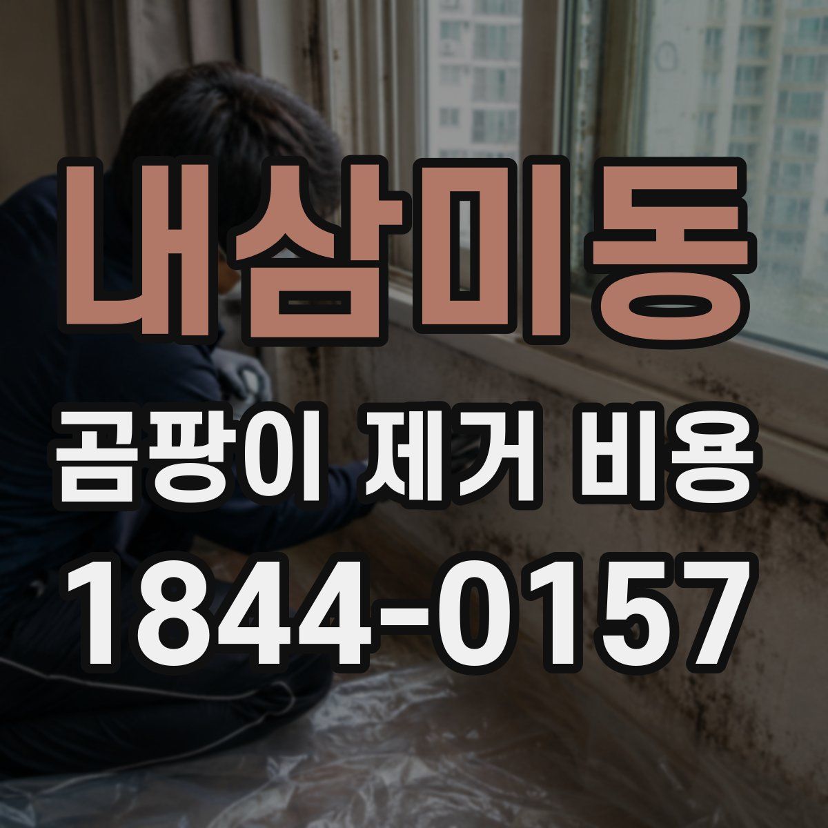 내삼미동 곰팡이 제거 비용