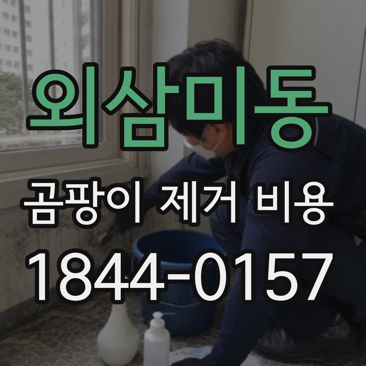 외삼미동 곰팡이 제거 비용 산정에 영향을 주는 곰팡이 종류