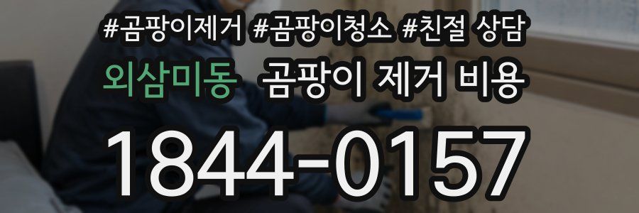 외삼미동 곰팡이 제거 비용
