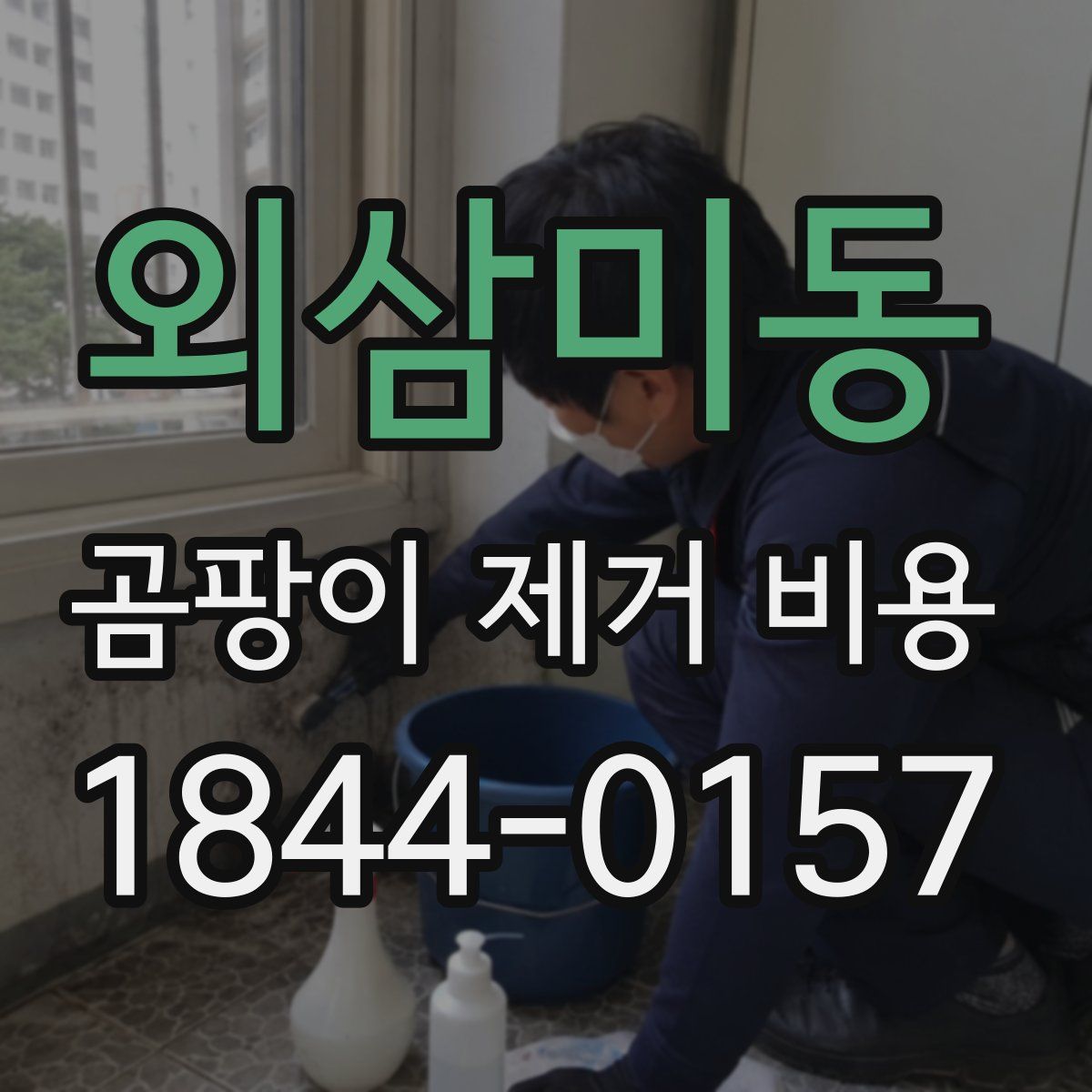 외삼미동 곰팡이 제거 비용