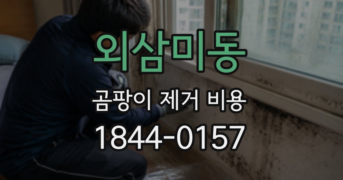 외삼미동 곰팡이 제거 비용