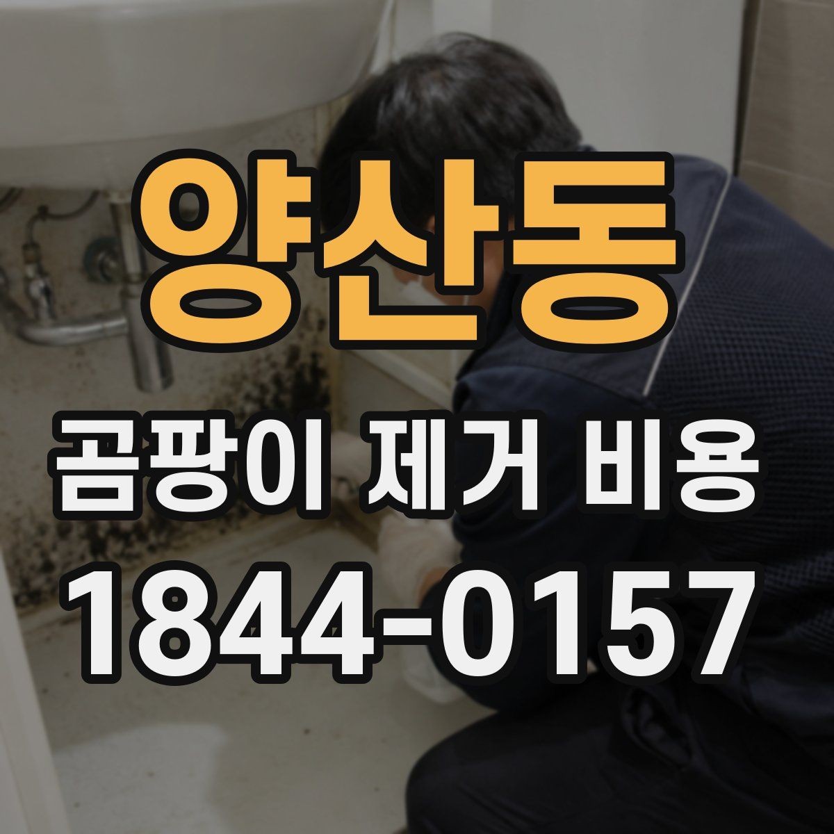 양산동 곰팡이 제거 비용 집 상태별로 달라지는 판단 기준