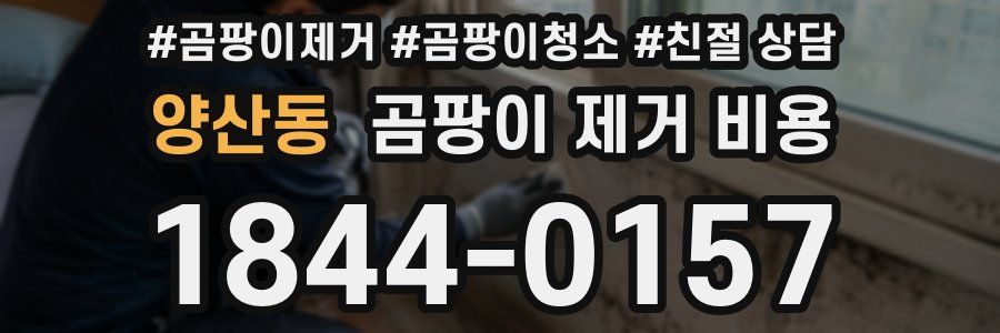 양산동 곰팡이 제거 비용