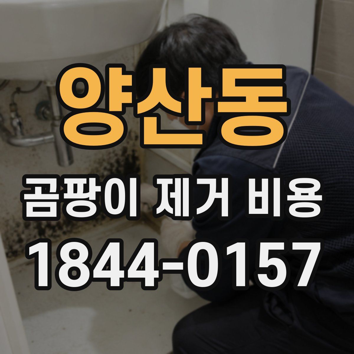 양산동 곰팡이 제거 비용
