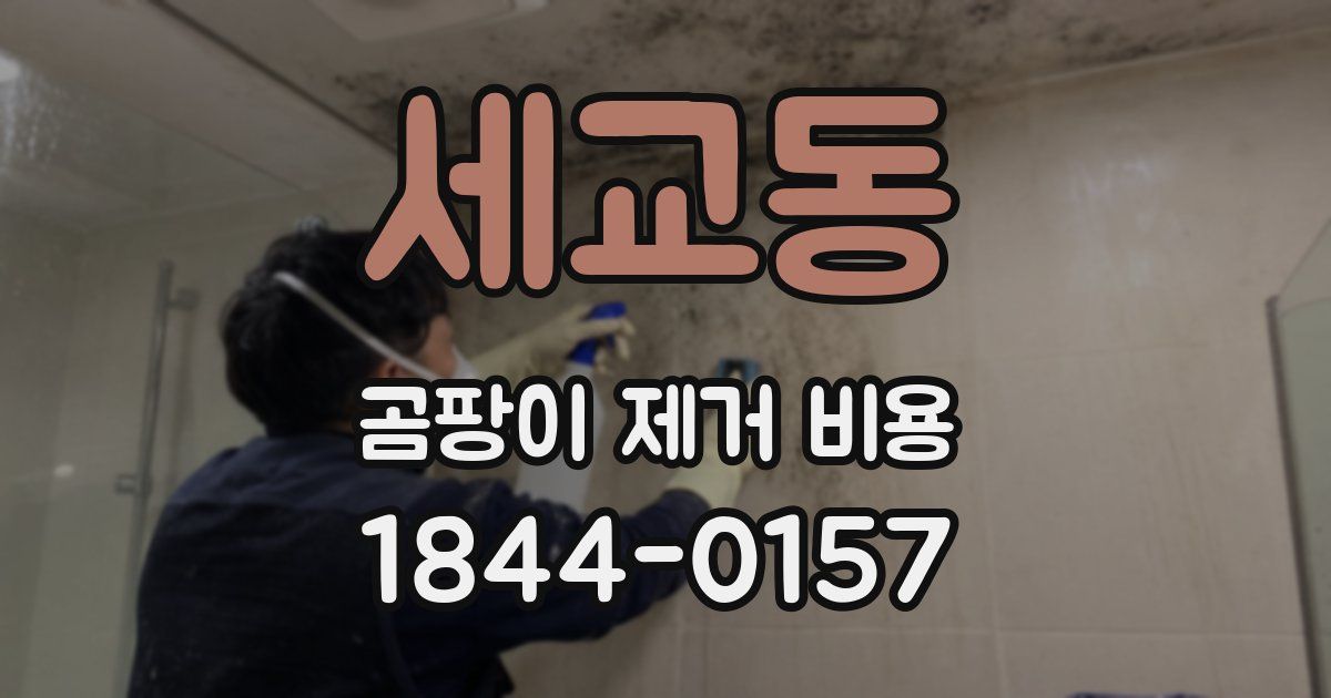 세교동 곰팡이 제거 비용