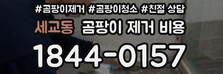 세교동 곰팡이 제거 비용